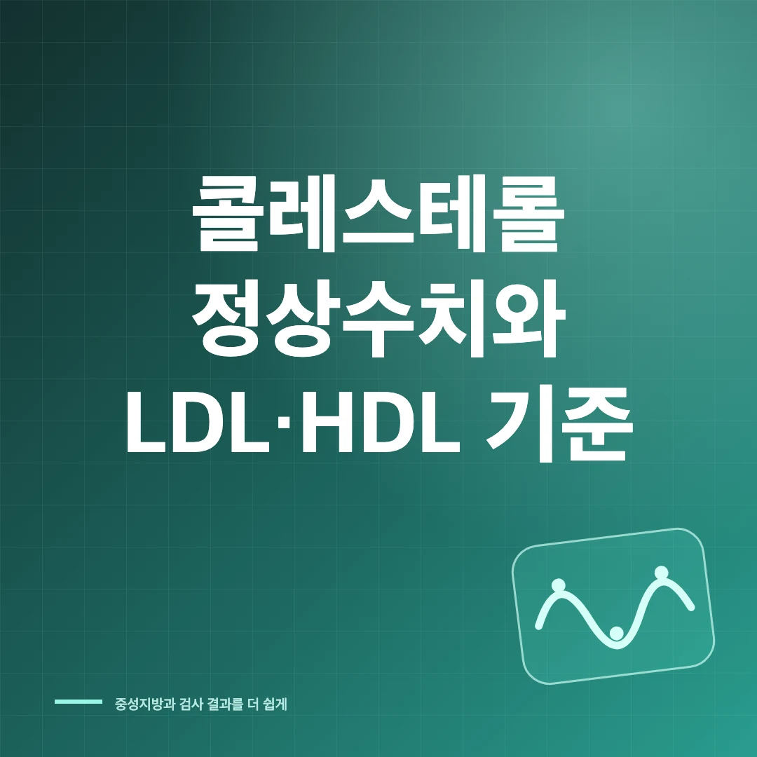 콜레스테롤 정상수치와 LDL·HDL·중성지방 기준 썸네일