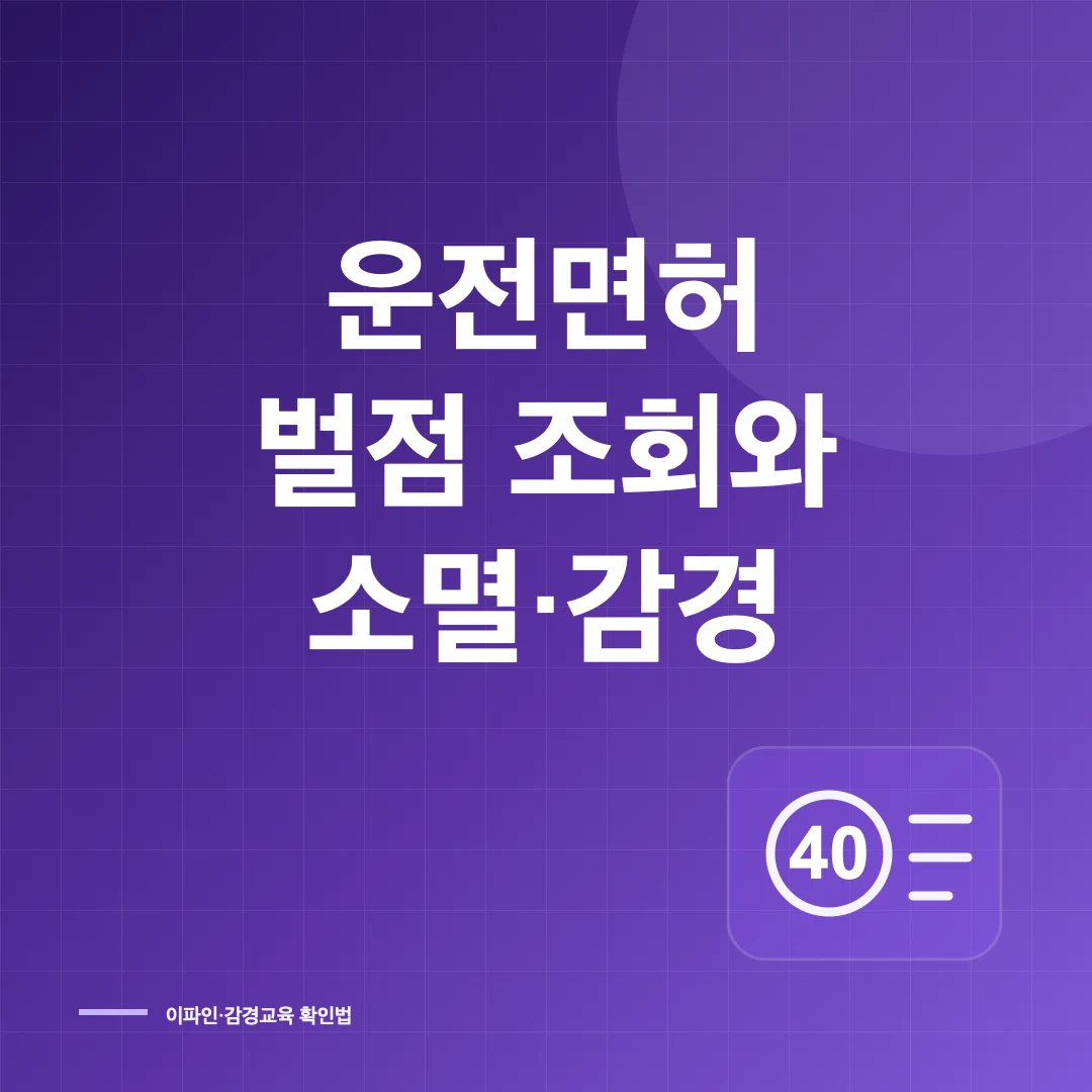 운전면허 벌점 조회와 소멸·감경교육·정지 기준 썸네일