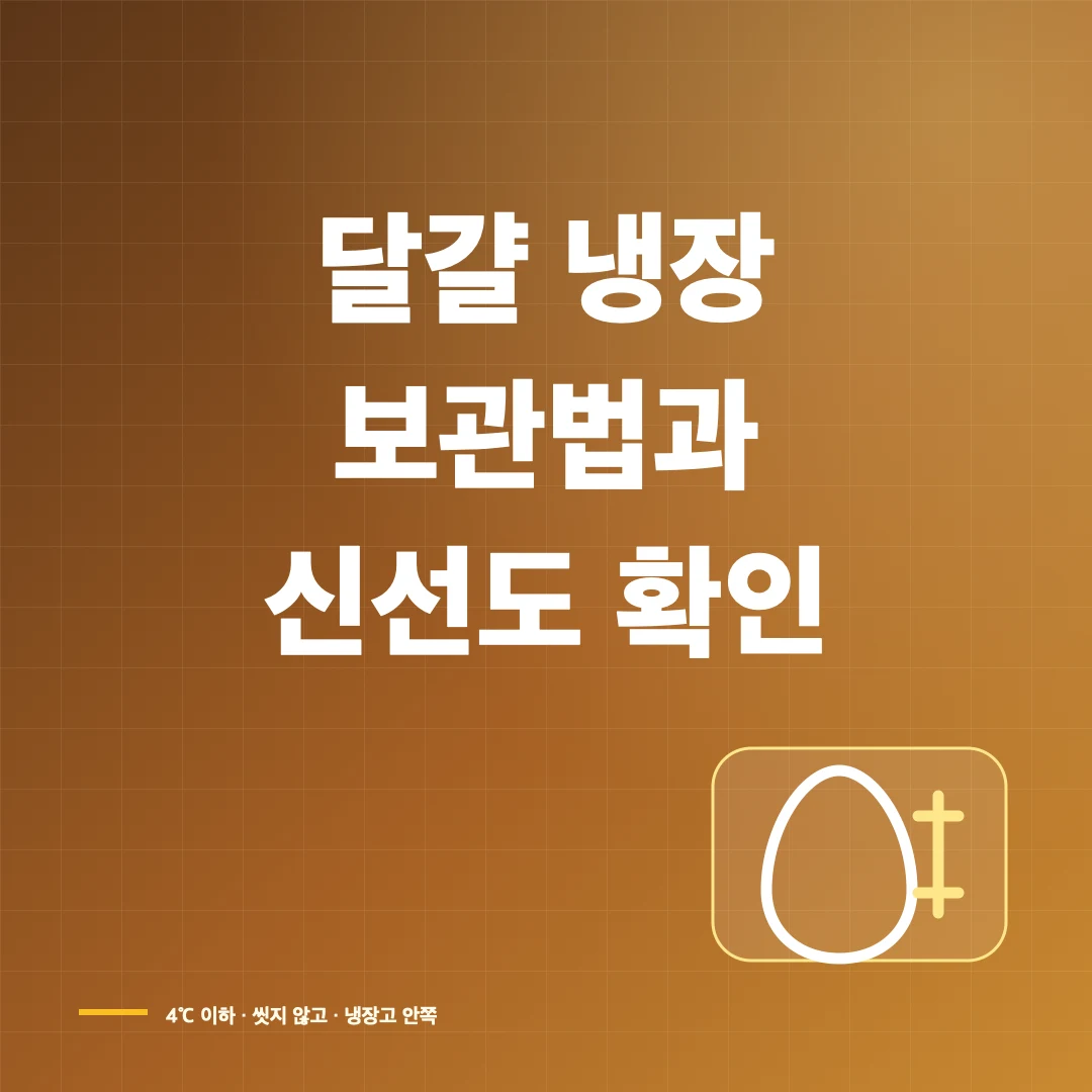 달걀 냉장 보관법과 신선도 확인·소비기한 판단 썸네일