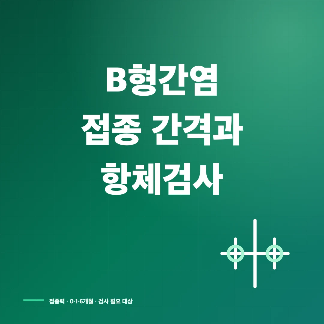 B형간염 예방접종 대상·접종 간격·항체검사 기준 썸네일