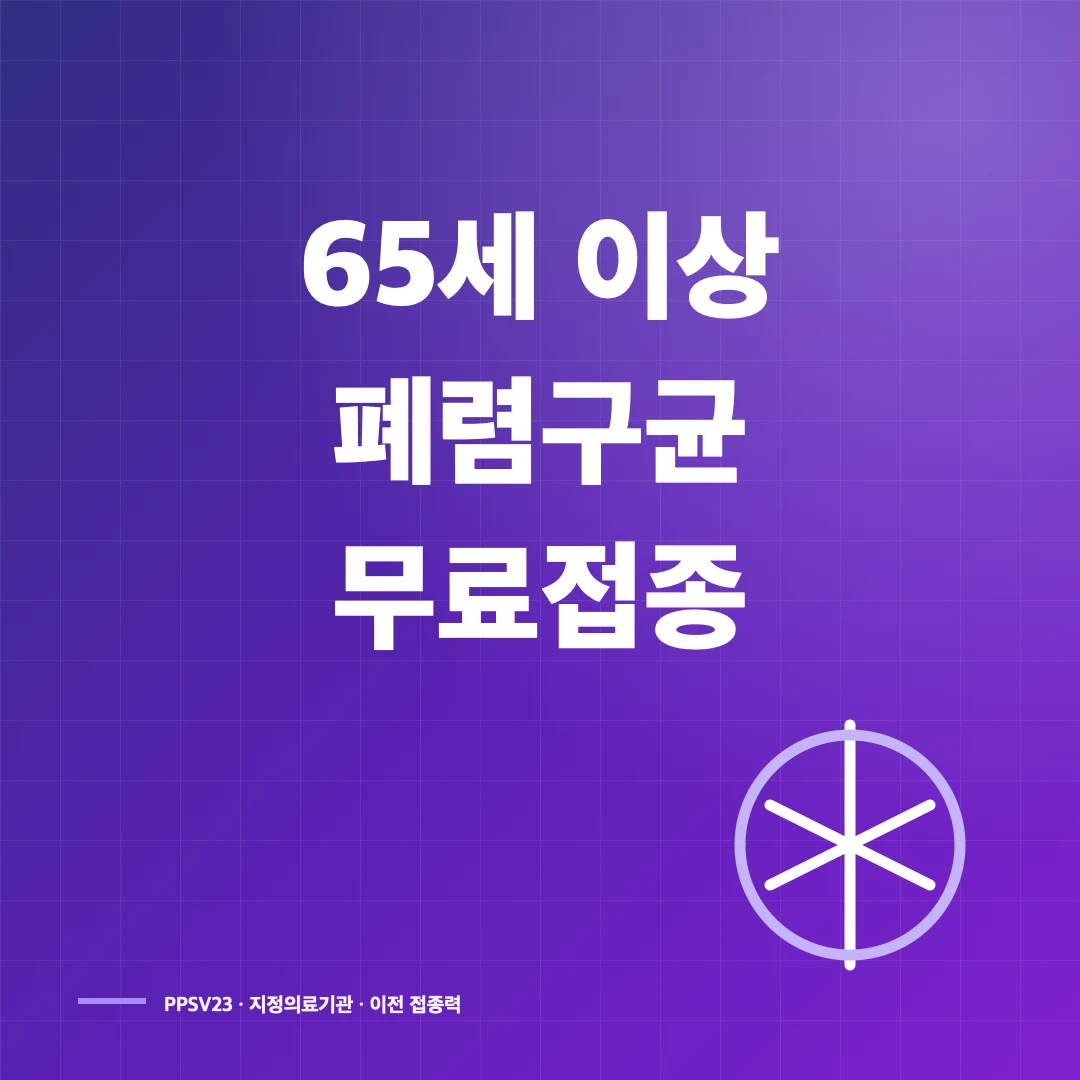 65세 이상 폐렴구균 무료 예방접종 대상·백신·병원 찾기 썸네일