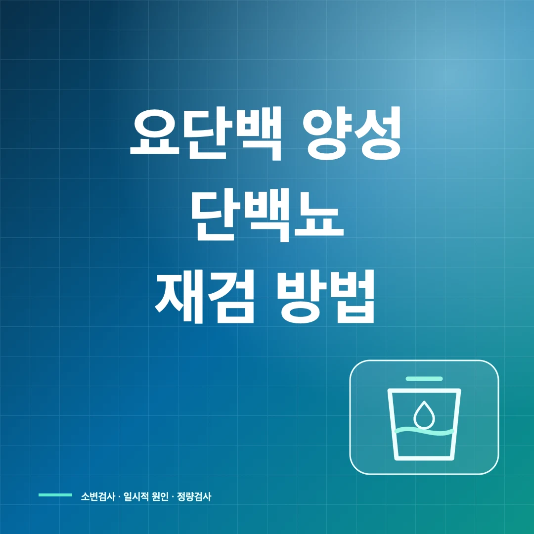 요단백 양성·단백뇨 원인과 재검, 소변검사 결과 해석 썸네일